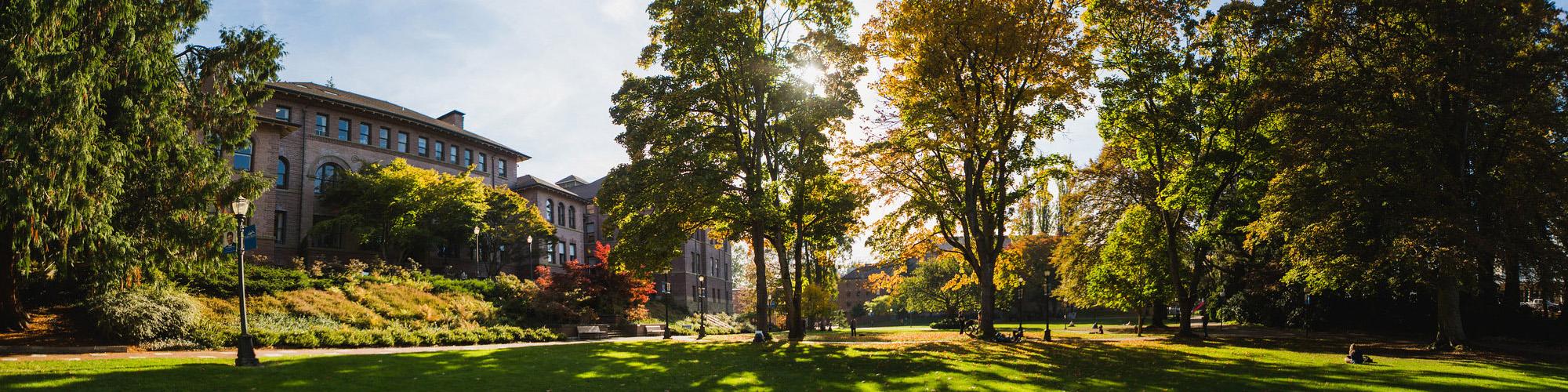 Lawn in front of Old Main during summer with sun shining through trees